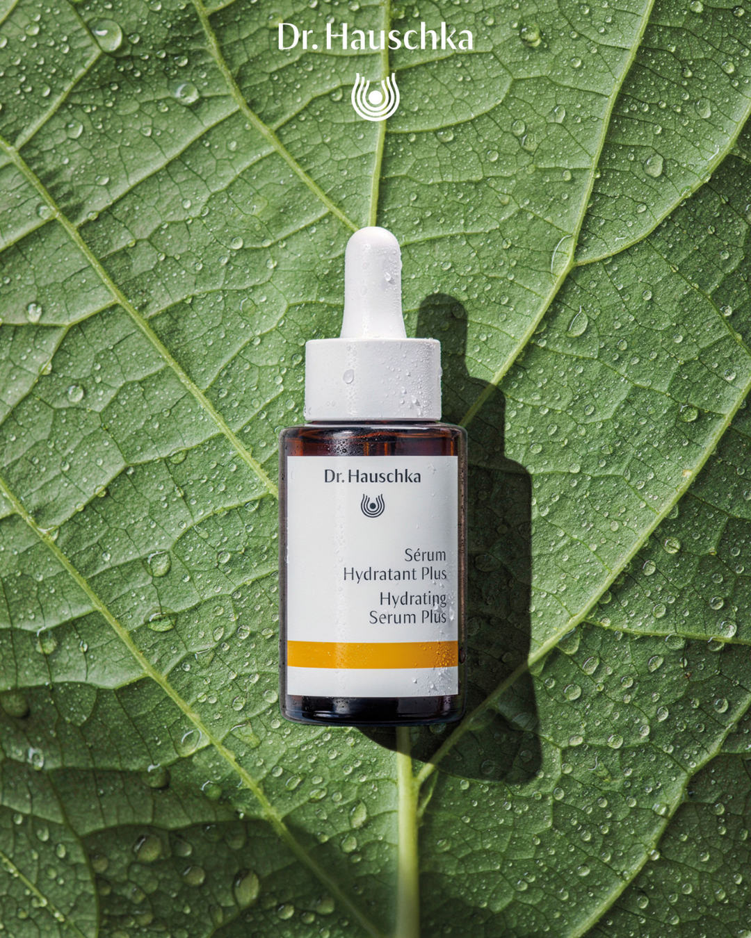 Sérum Hydratant Plus booster d’hydratation, antioxydant, action en profondeur