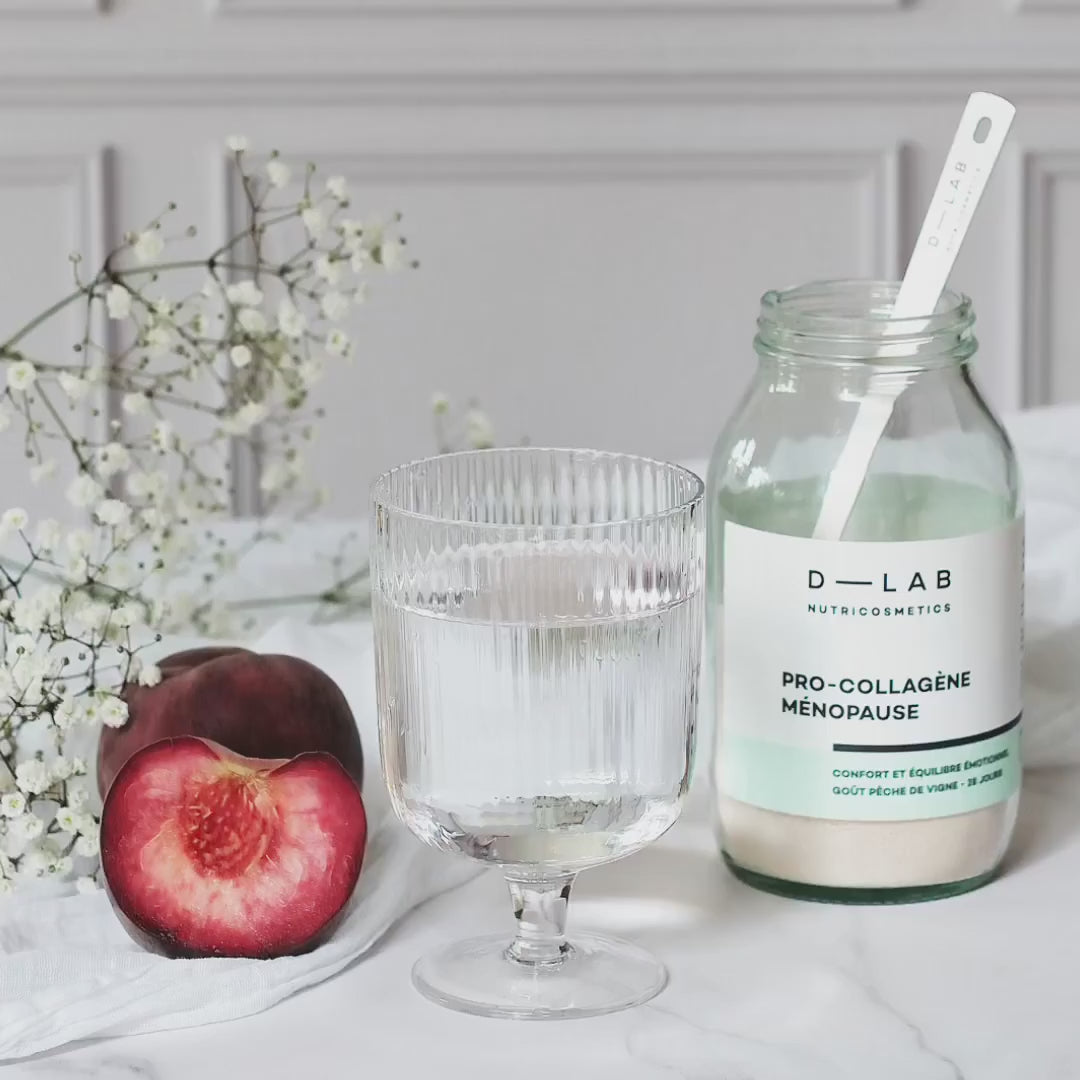 Charger la vidéo : 